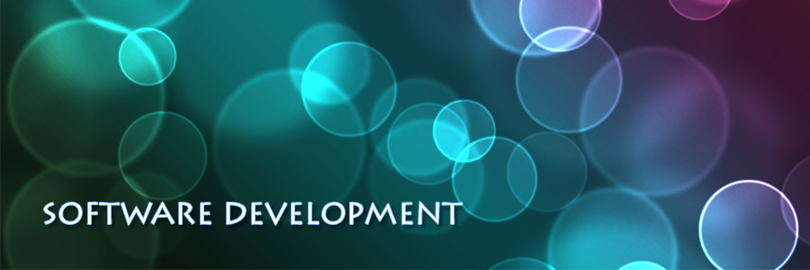 Software Development