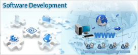 Software Development